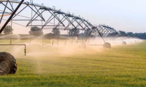 Scopri di più sull'articolo Sistemi di irrigazione