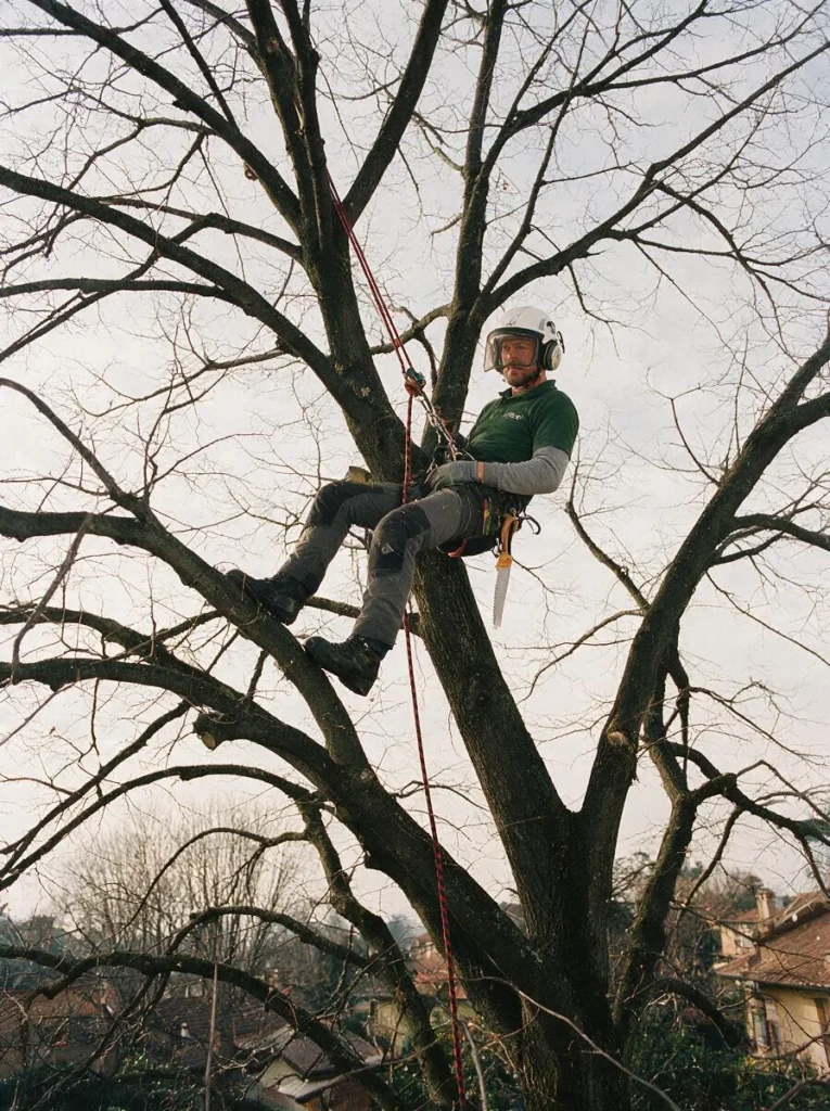 Un potatore imbracato lavora nella chioma di un albero spoglio, con casco, cuffie e corda di sicurezza.
