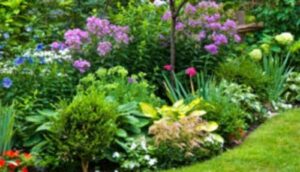 La floricoltura offre numerose opportunità per coltivare piante ornamentali in maniera efficiente e con risultati di grande impatto visivo