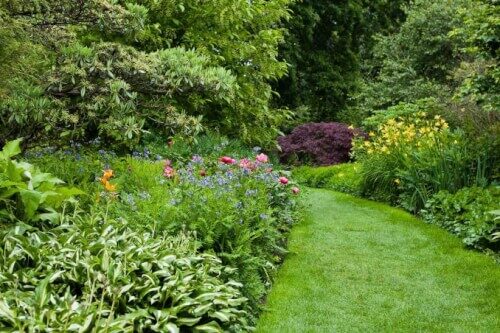 Il successo nella coltivazione di fiori e piante ornamentali richiede un impegno costante e un'attenzione accurata